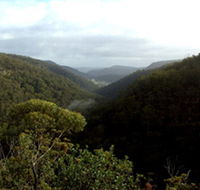 Nattai Gorge Lookout - Restaurant Gold Coast