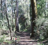 Box Vale Mine Walking Track and Lookout - Restaurant Gold Coast