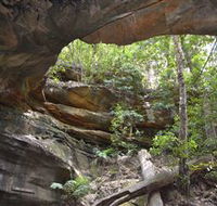 Cave Creek Walking Track - Restaurant Gold Coast