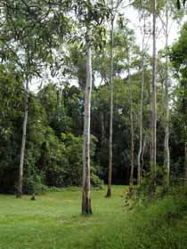 Pioneer Country Park - Restaurant Gold Coast 1