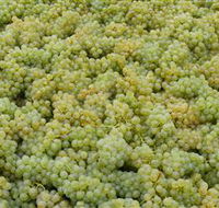 Normanby Wines - Restaurant Gold Coast