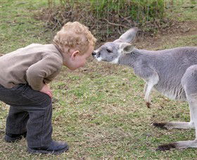 Hunter Valley Zoo - Restaurant Gold Coast 3