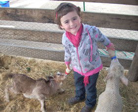 Hunter Valley Zoo - Restaurant Gold Coast 4