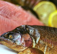Lovedale Smokehouse Gourmet Pantry Cafe and Masterclasses - Restaurant Gold Coast