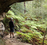 Dharug National Park - Restaurant Gold Coast