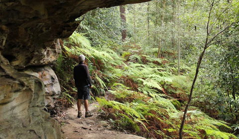 Dharug National Park - Restaurant Gold Coast 0
