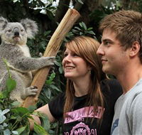 Featherdale Wildlife Park - Restaurant Gold Coast