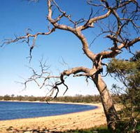 Lake Indoon - Restaurant Gold Coast