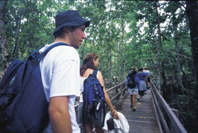 Bellthorpe National Park - Restaurant Gold Coast 0