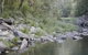 Bellthorpe National Park - thumb 1