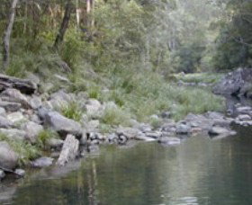 Bellthorpe National Park - Restaurant Gold Coast 1