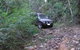 Bellthorpe National Park - thumb 3
