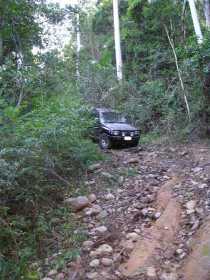 Bellthorpe National Park - Restaurant Gold Coast 3