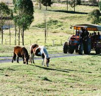 Calmsley Hill City Farm - Restaurant Gold Coast