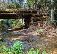 Myrtle Scrub scenic drive - Restaurant Gold Coast