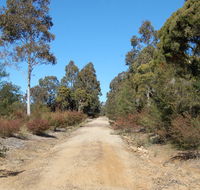 Werakata National Park - Restaurant Gold Coast