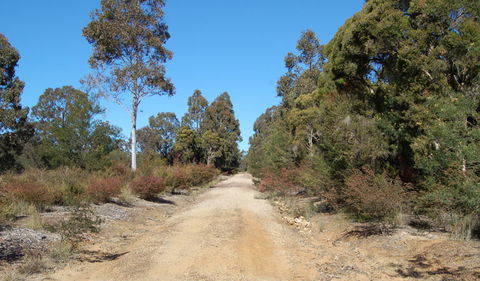 Werakata National Park - Restaurant Gold Coast 0