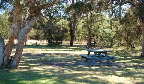 Werakata National Park - Restaurant Gold Coast 1