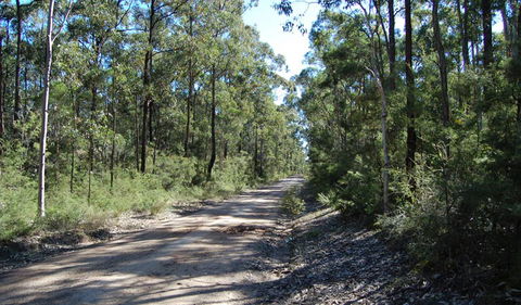 Werakata National Park - Restaurant Gold Coast 2