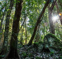 Copeland Tops State Conservation Area