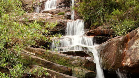 Popran National Park - Restaurant Gold Coast 1