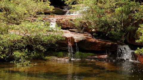 Popran National Park - Restaurant Gold Coast 2