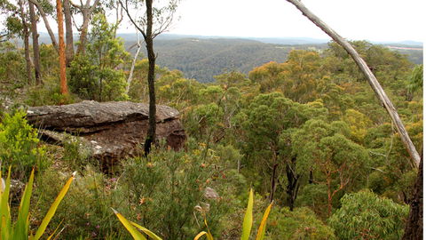 Popran National Park - Restaurant Gold Coast 3