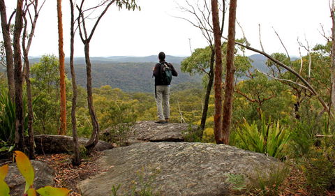 Mount Olive Lookout - Restaurant Gold Coast 1