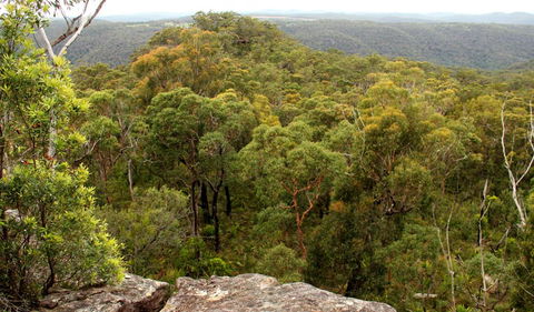 Mount Olive Lookout - Restaurant Gold Coast 0