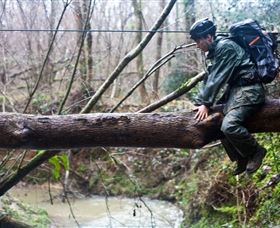 Bear Grylls Survival Academy - Restaurant Gold Coast 5