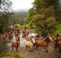 Glenworth Valley Horse Riding - Restaurant Gold Coast
