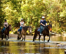 Glenworth Valley Outdoor Adventures - Restaurant Gold Coast 2