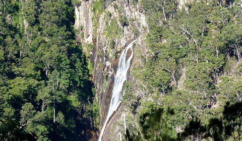 Carrai National Park - Restaurant Gold Coast 0