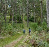 The Green Gully track - Restaurant Gold Coast