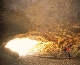 Stockyard Gully National Park - Restaurant Gold Coast 1