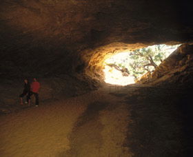 Stockyard Gully National Park - Restaurant Gold Coast 3