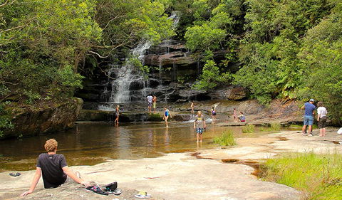 Somersby Falls Picnic Area - Restaurant Gold Coast 0