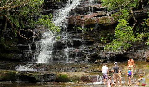 Somersby Falls Picnic Area - Restaurant Gold Coast 2