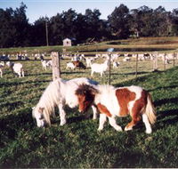 Trudgalong Farm - Restaurant Gold Coast