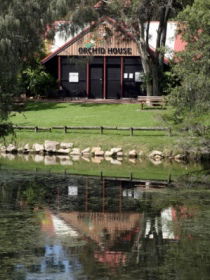 Hervey Bay Botanic Gardens - Restaurant Gold Coast 1