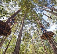 TreeTop Adventure Park Central Coast - Restaurant Gold Coast