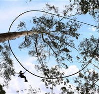 TreeTops Crazy Rider - Restaurant Gold Coast