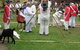 Caboolture Historical Village - thumb 0