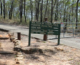 Wild Horse Mountain Lookout - Restaurant Gold Coast 0