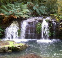 Barrington Tops National Park Walks - Restaurant Gold Coast