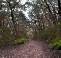 Budawang National Park - Restaurant Gold Coast