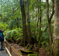 Monga National Park - Restaurant Gold Coast