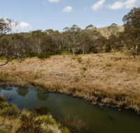 Werrikimbe National Park - Restaurant Gold Coast