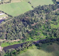 Moore Park Nature Reserve - Restaurant Gold Coast