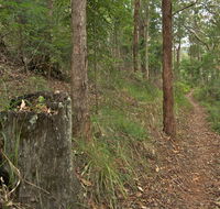 Border loop walk - Restaurant Gold Coast